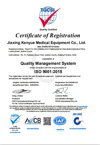 Five Functions Hospital ICU Bed Electric Care Bed Nursing Home Patient 13